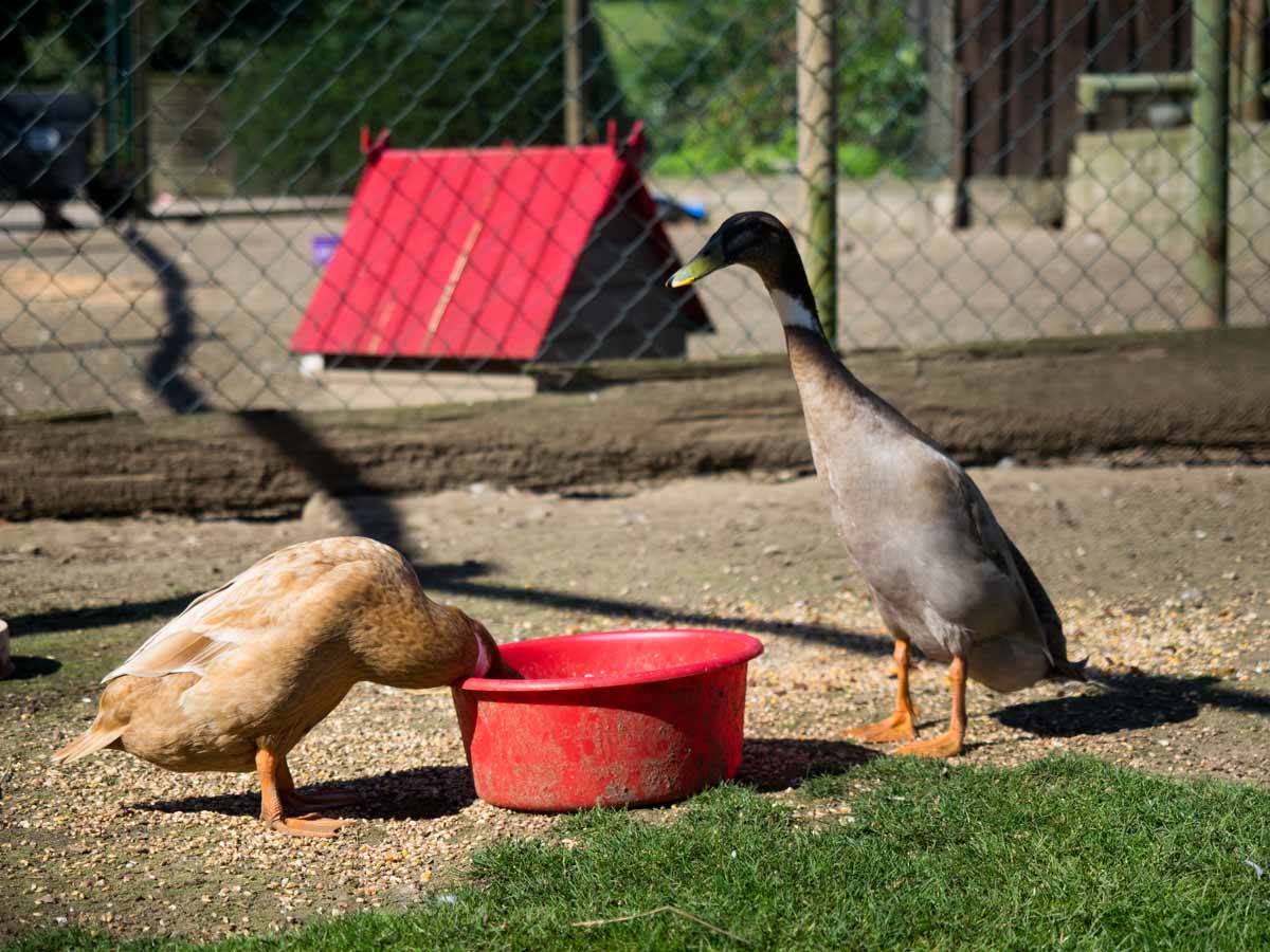 Aktionen für Kinder