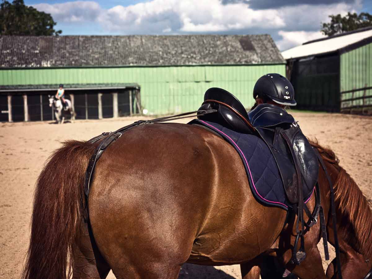 Reiten auf Hof Bast