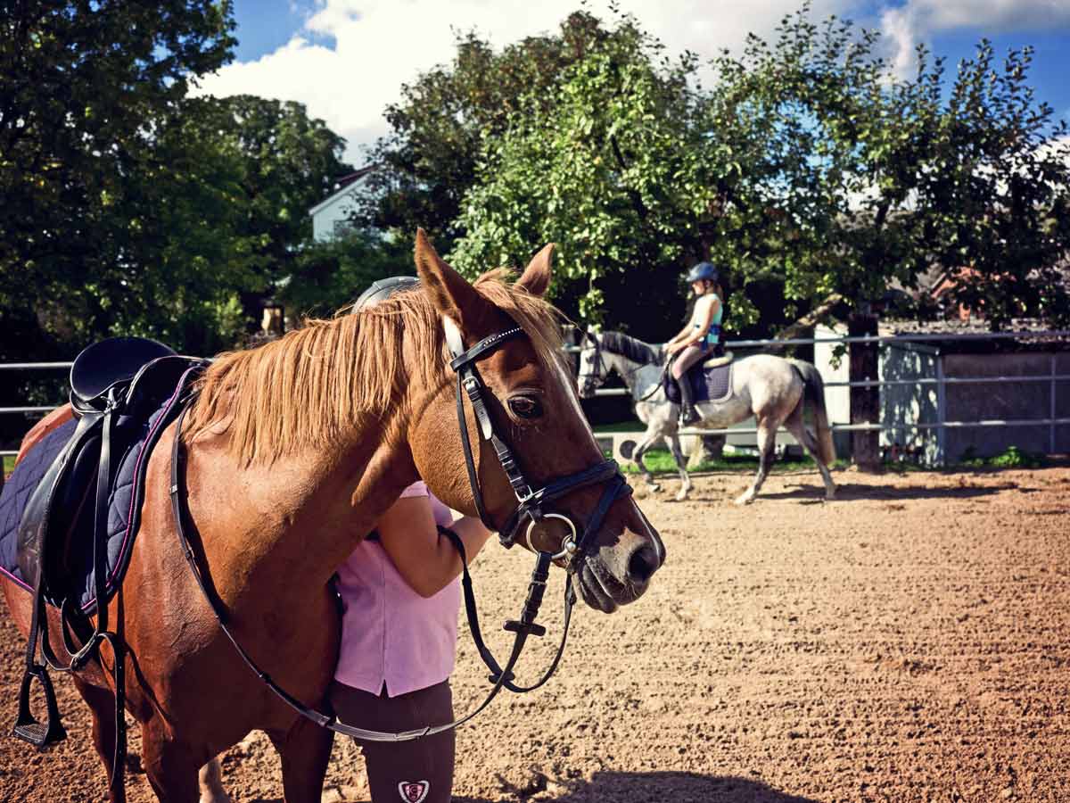 Reiten auf Hof Bast