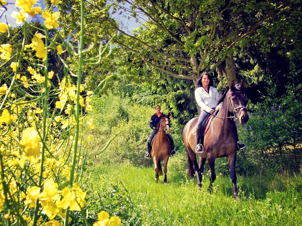 Reiten auf Hof Bast