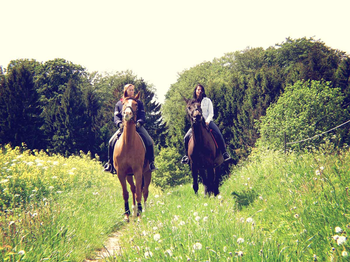 Reiten auf Hof Bast